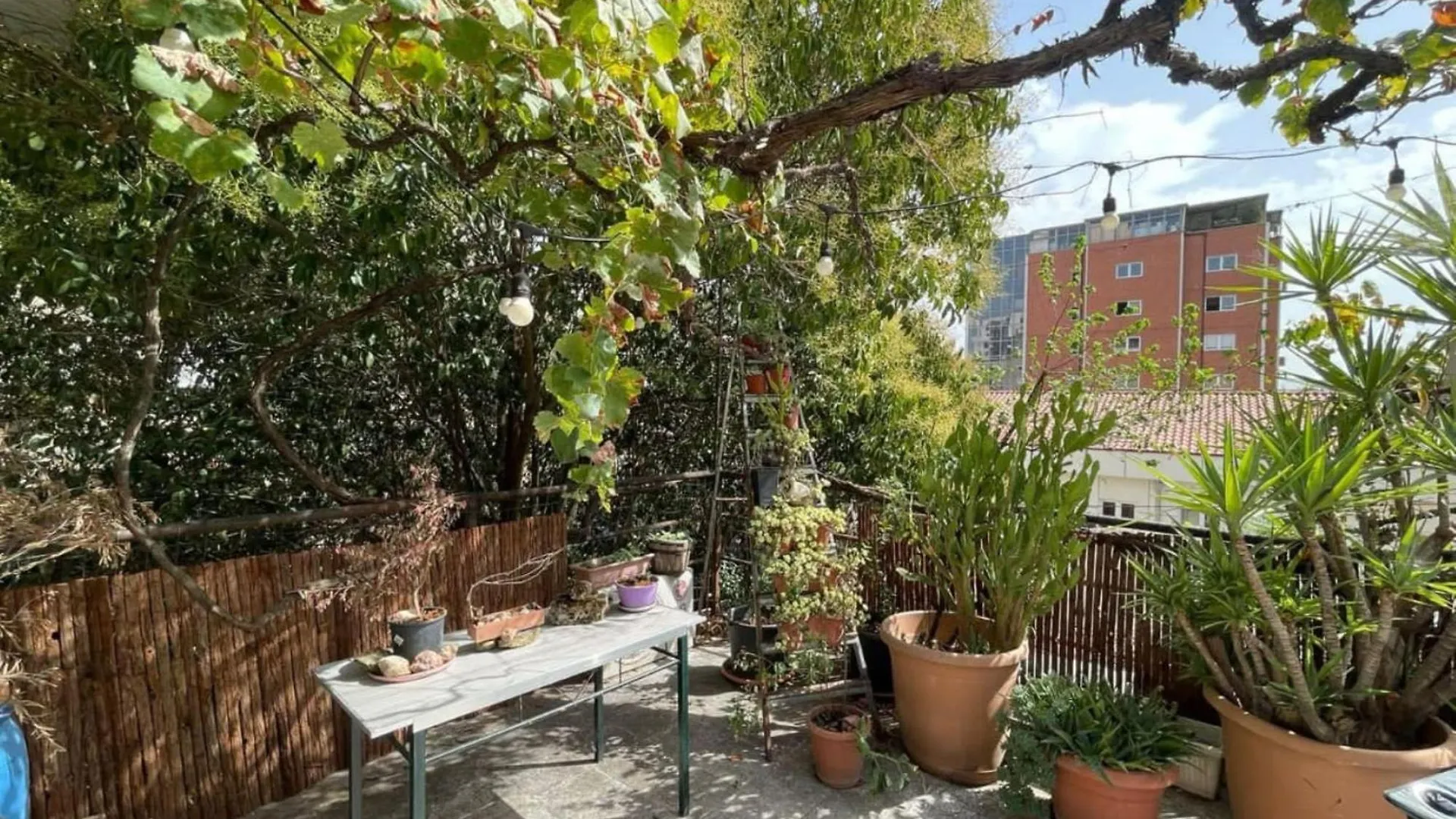 Albania Dream Holidays Accommodation Tirana Apartment